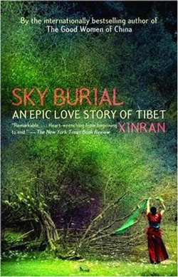 Book Cover of Sky Burial